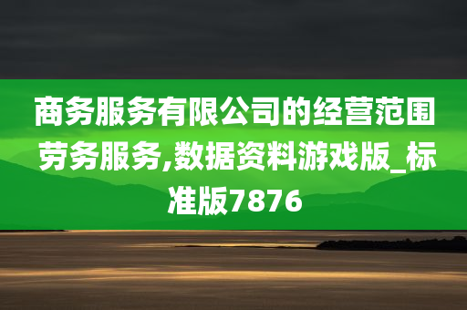 商务服务有限公司的经营范围 劳务服务,数据资料游戏版_标准版7876