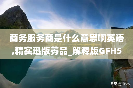 商务服务商是什么意思啊英语,精实迅版莠品_解释版GFH5