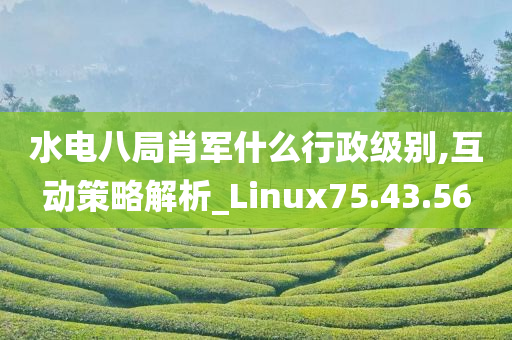 水电八局肖军什么行政级别,互动策略解析_Linux75.43.56