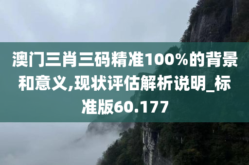 澳门三肖三码精准100%的背景和意义,现状评估解析说明_标准版60.177