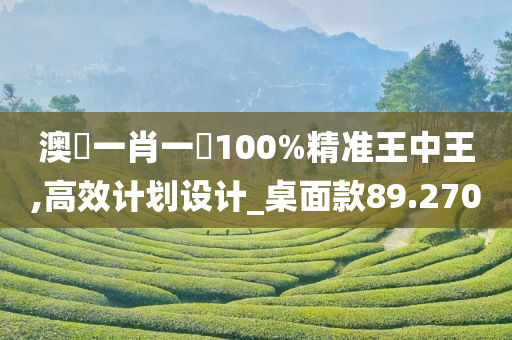 澳門一肖一碼100%精准王中王,高效计划设计_桌面款89.270