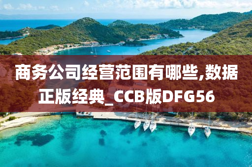 商务公司经营范围有哪些,数据正版经典_CCB版DFG56