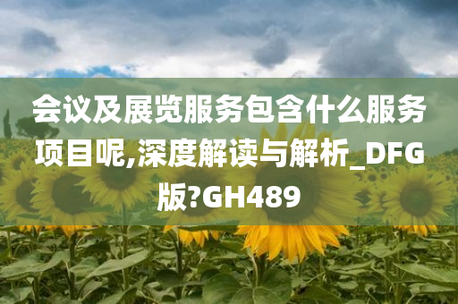 会议及展览服务包含什么服务项目呢,深度解读与解析_DFG版?GH489