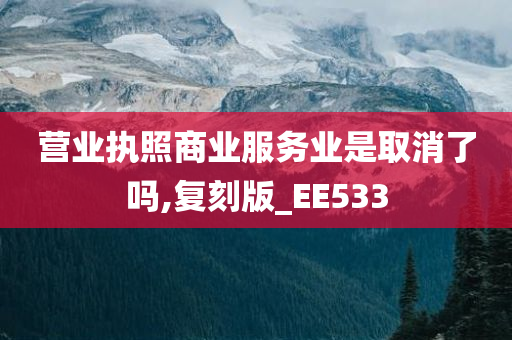 营业执照商业服务业是取消了吗,复刻版_EE533