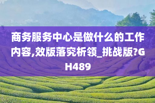 商务服务中心是做什么的工作内容,效版落究析领_挑战版?GH489