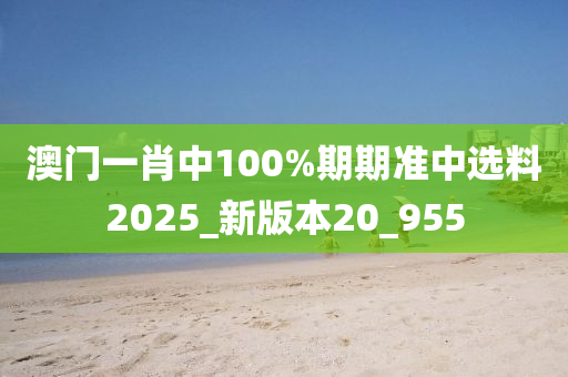 澳门一肖中100%期期准中选料2025_新版本20_955