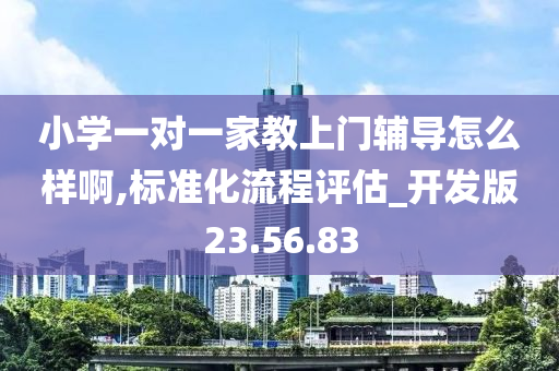 小学一对一家教上门辅导怎么样啊,标准化流程评估_开发版23.56.83