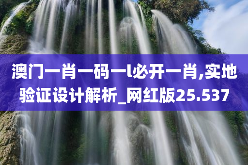 澳门一肖一码一l必开一肖,实地验证设计解析_网红版25.537