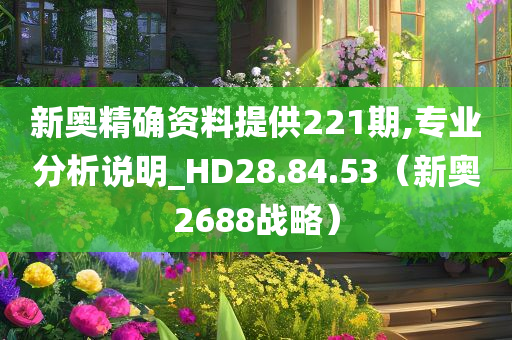 新奥精确资料提供221期,专业分析说明_HD28.84.53（新奥2688战略）