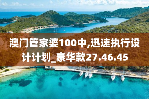 澳门管家婆100中,迅速执行设计计划_豪华款27.46.45