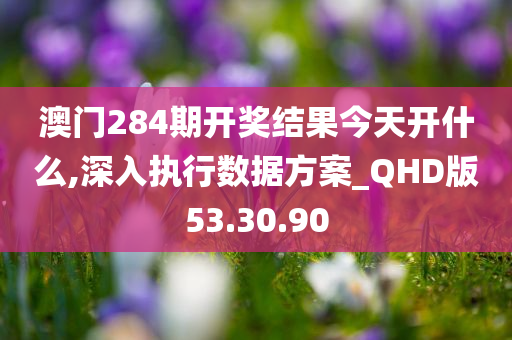 澳门284期开奖结果今天开什么,深入执行数据方案_QHD版53.30.90