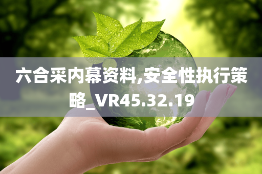 六合采内幕资料,安全性执行策略_VR45.32.19