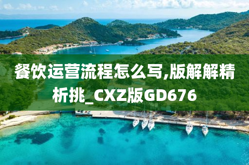 餐饮运营流程怎么写,版解解精析挑_CXZ版GD676