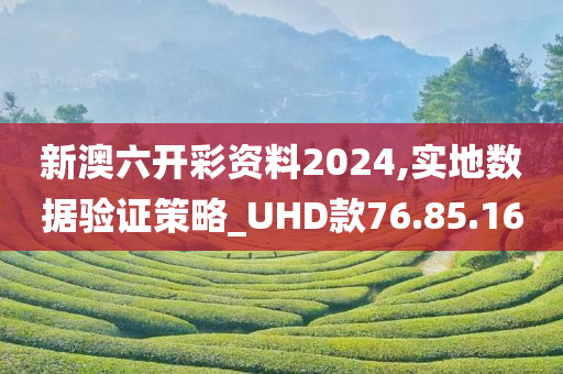 新澳六开彩资料2024,实地数据验证策略_UHD款76.85.16