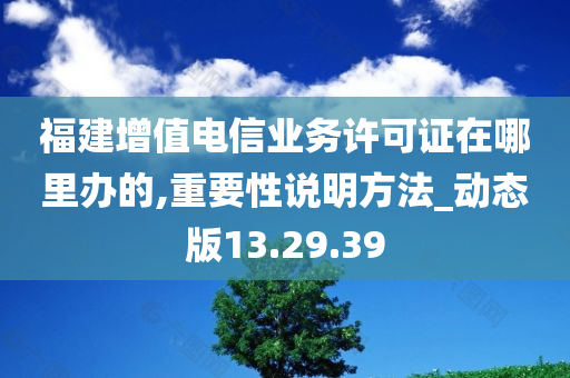 福建增值电信业务许可证在哪里办的,重要性说明方法_动态版13.29.39