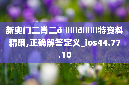 新奥门二肖二🐎🀄特资料精确,正确解答定义_ios44.77.10