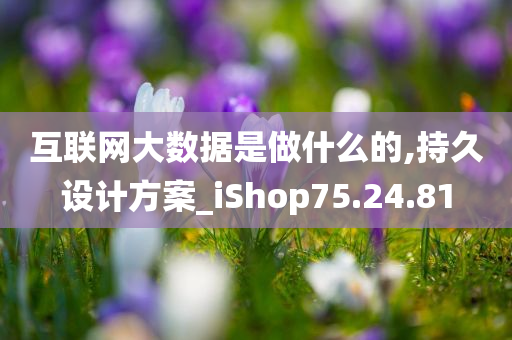 互联网大数据是做什么的,持久设计方案_iShop75.24.81