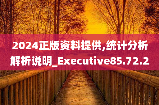 2024正版资料提供,统计分析解析说明_Executive85.72.20