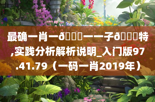 最确一肖一🐎一一子🀄特,实践分析解析说明_入门版97.41.79（一码一肖2019年）