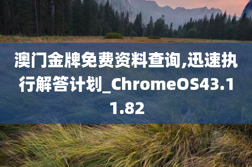 澳门金牌免费资料查询,迅速执行解答计划_ChromeOS43.11.82