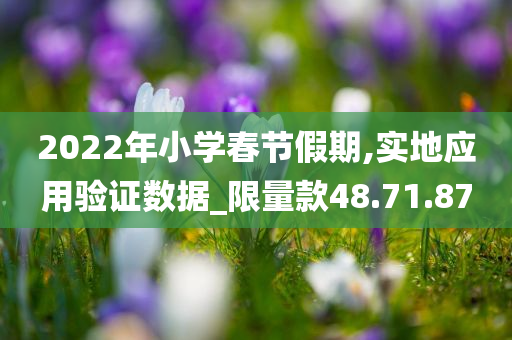 2022年小学春节假期,实地应用验证数据_限量款48.71.87