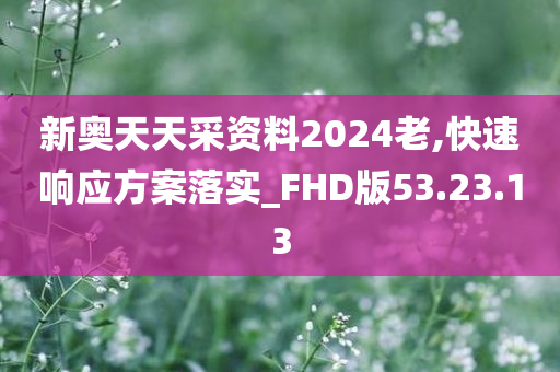 新奥天天采资料2024老,快速响应方案落实_FHD版53.23.13