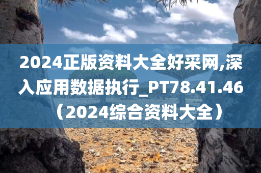 2024正版资料大全好采网,深入应用数据执行_PT78.41.46（2024综合资料大全）