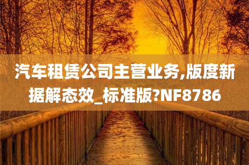 汽车租赁公司主营业务,版度新据解态效_标准版?NF8786