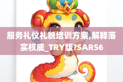 服务礼仪礼貌培训方案,解释落实权威_TRY版?SAR56