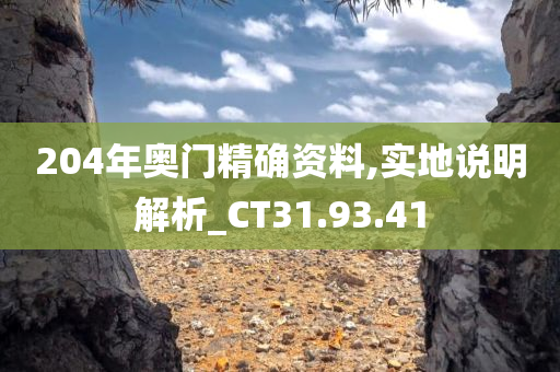 204年奥门精确资料,实地说明解析_CT31.93.41