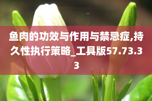 鱼肉的功效与作用与禁忌症,持久性执行策略_工具版57.73.33