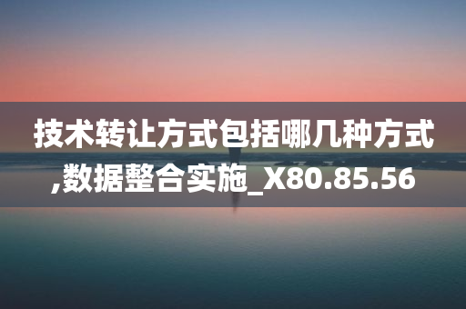 技术转让方式包括哪几种方式,数据整合实施_X80.85.56