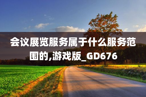 会议展览服务属于什么服务范围的,游戏版_GD676