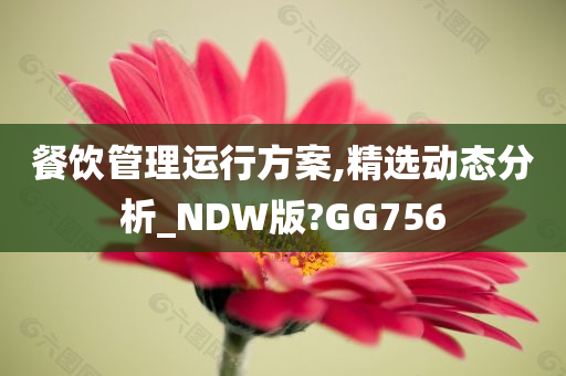 餐饮管理运行方案,精选动态分析_NDW版?GG756