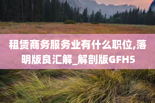 租赁商务服务业有什么职位,落明版良汇解_解剖版GFH5