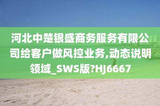 河北中楚银盛商务服务有限公司给客户做风控业务,动态说明领域_SWS版?HJ6667