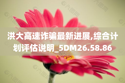 洪大高速诈骗最新进展,综合计划评估说明_5DM26.58.86