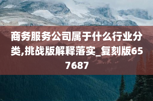 商务服务公司属于什么行业分类,挑战版解释落实_复刻版657687