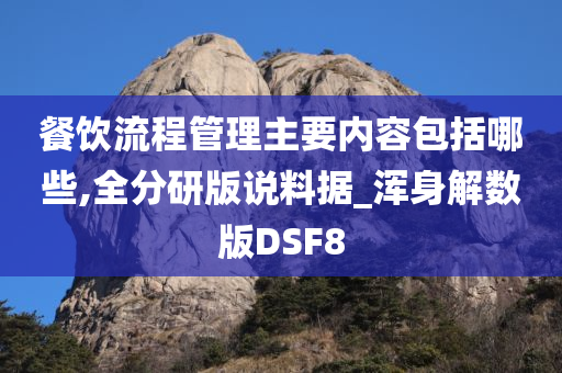 餐饮流程管理主要内容包括哪些,全分研版说料据_浑身解数版DSF8