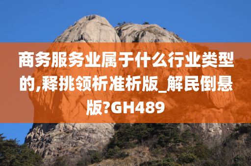 商务服务业属于什么行业类型的,释挑领析准析版_解民倒悬版?GH489