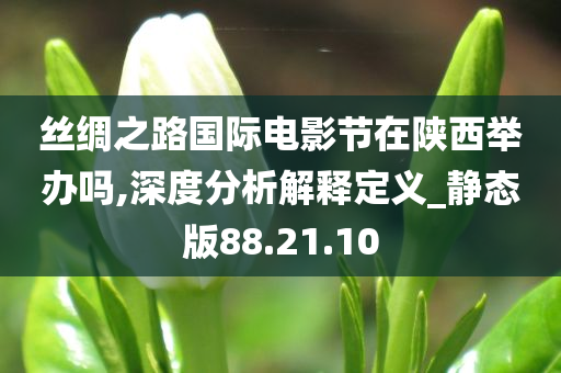 丝绸之路国际电影节在陕西举办吗,深度分析解释定义_静态版88.21.10