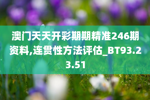 澳门天天开彩期期精准246期资料,连贯性方法评估_BT93.23.51