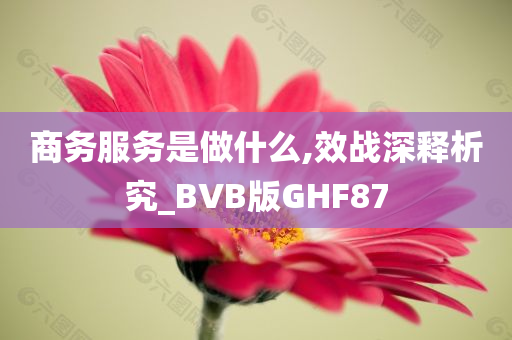 商务服务是做什么,效战深释析究_BVB版GHF87