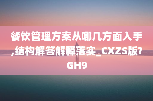 餐饮管理方案从哪几方面入手,结构解答解释落实_CXZS版?GH9