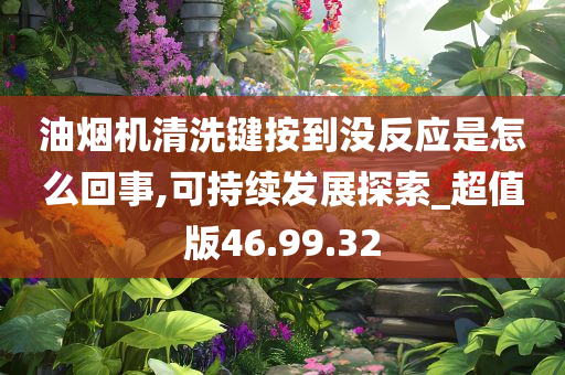 油烟机清洗键按到没反应是怎么回事,可持续发展探索_超值版46.99.32