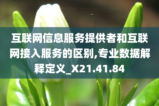 互联网信息服务提供者和互联网接入服务的区别,专业数据解释定义_X21.41.84