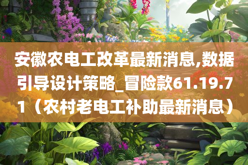 安徽农电工改革最新消息,数据引导设计策略_冒险款61.19.71（农村老电工补助最新消息）