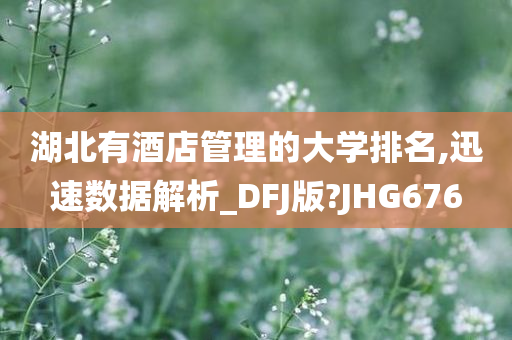 湖北有酒店管理的大学排名,迅速数据解析_DFJ版?JHG676