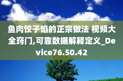 鱼肉饺子馅的正宗做法 视频大全窍门,可靠数据解释定义_Device76.50.42