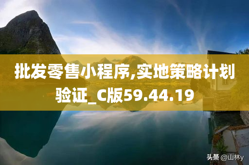 批发零售小程序,实地策略计划验证_C版59.44.19